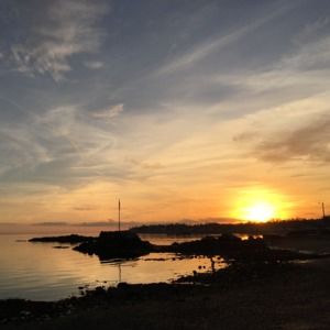 Meet your Posher, Doctor